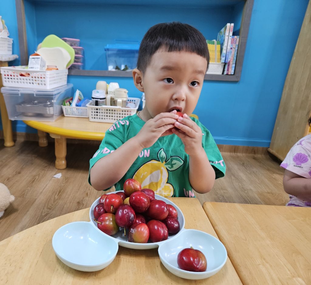 보문어린이집 이미지