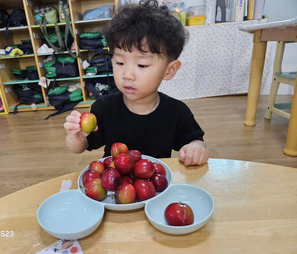 보문어린이집 이미지