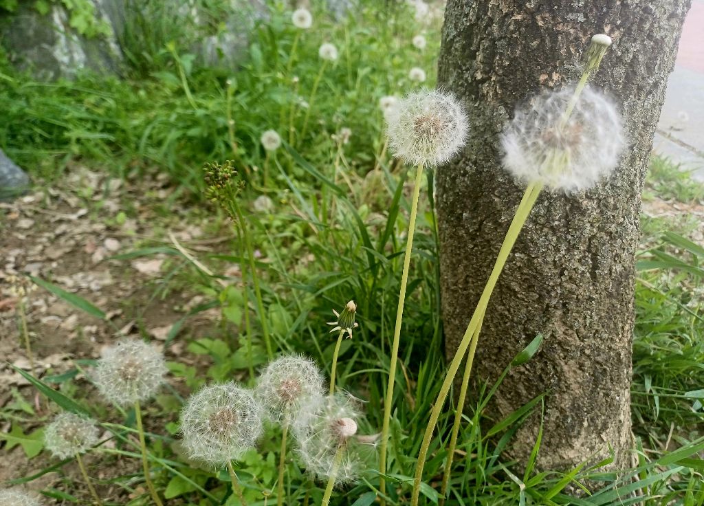 시사진 이미지