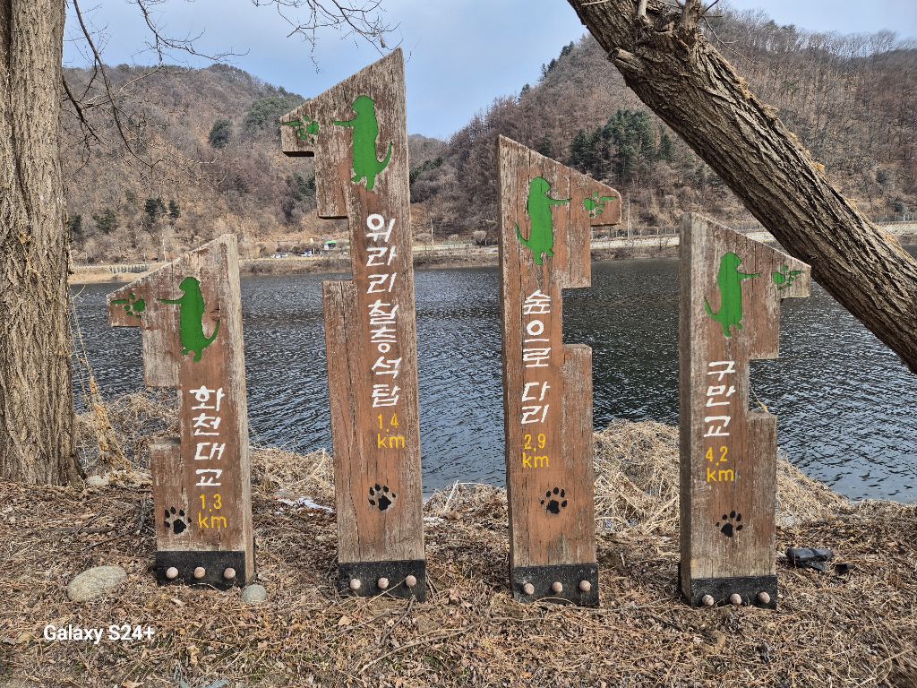 파라호 이미지