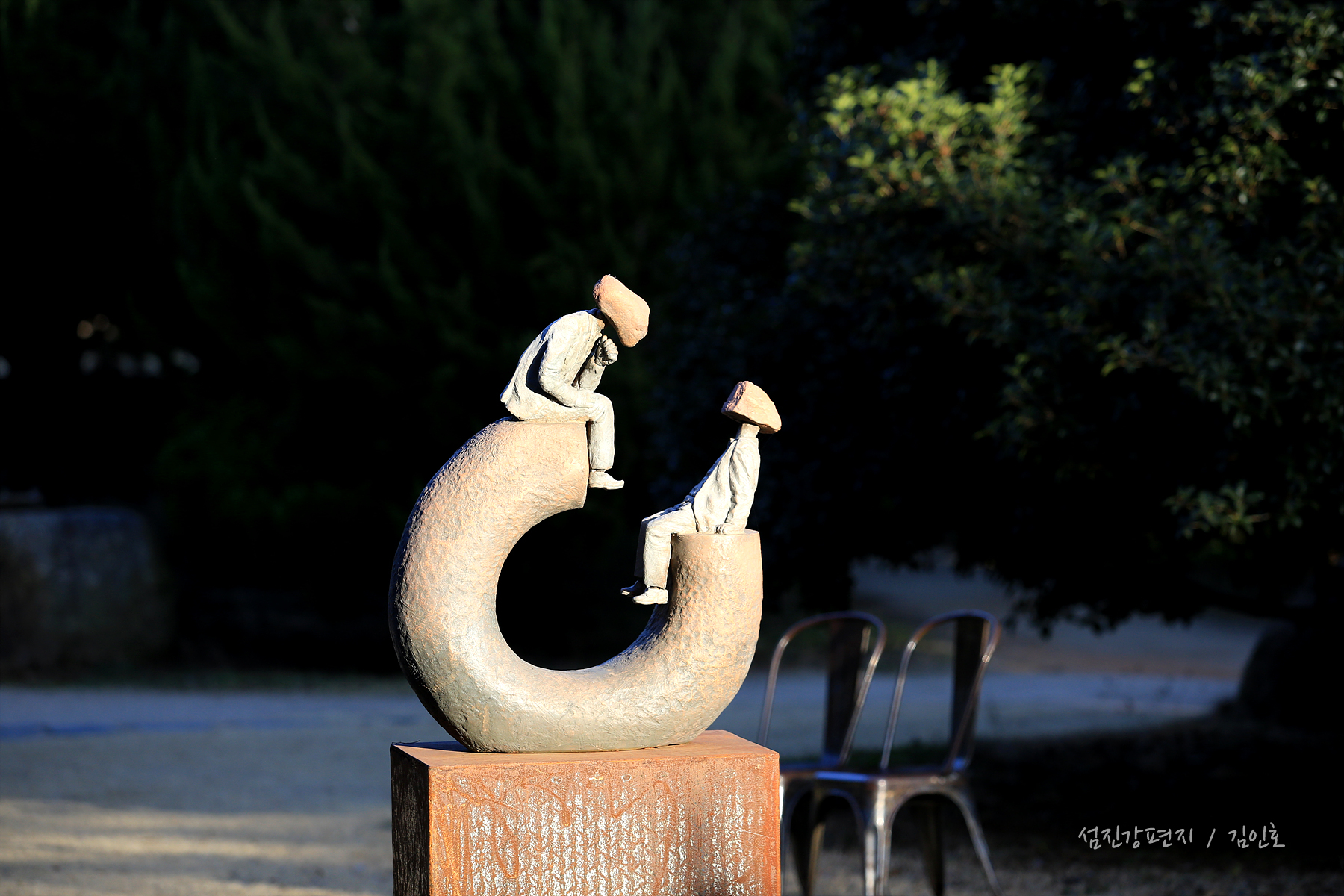 천과나무 이미지