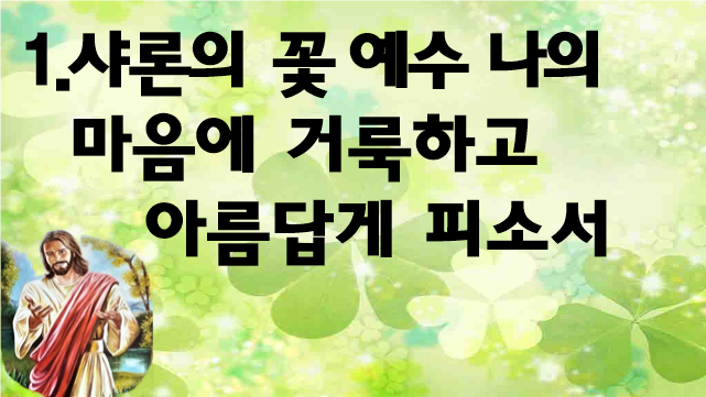 샤론의꽃 이미지