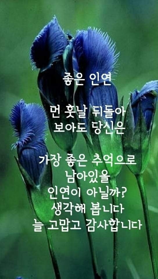하와이가요방 이미지