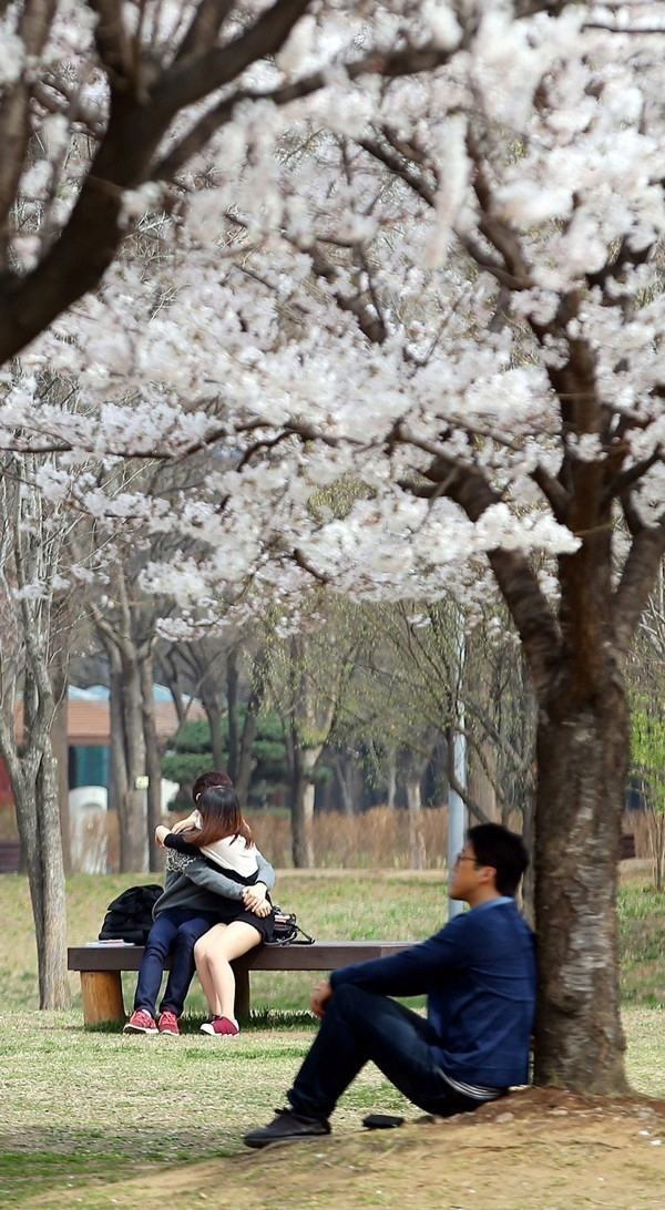 밀 이미지