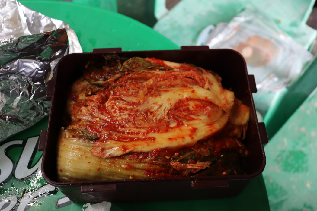 꼬꼬삼촌 이미지