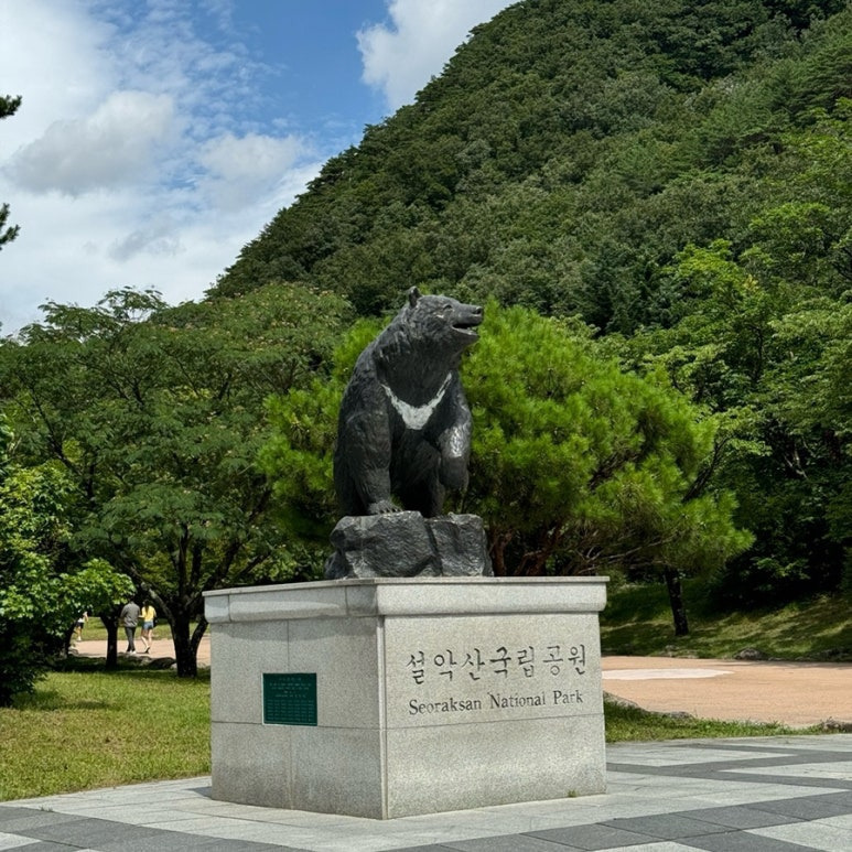 폭포마트 이미지