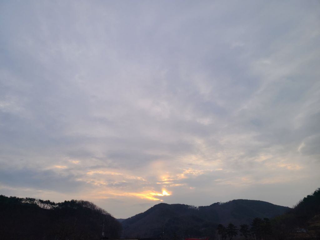 오늘은추어탕 이미지