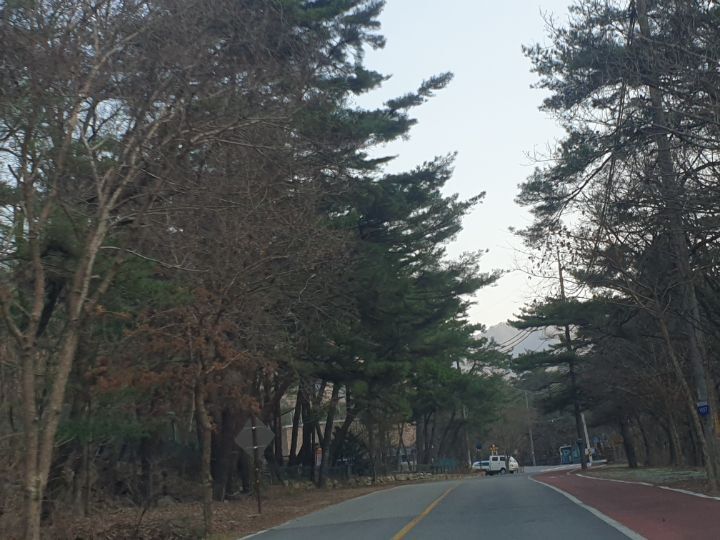 여우미가 이미지