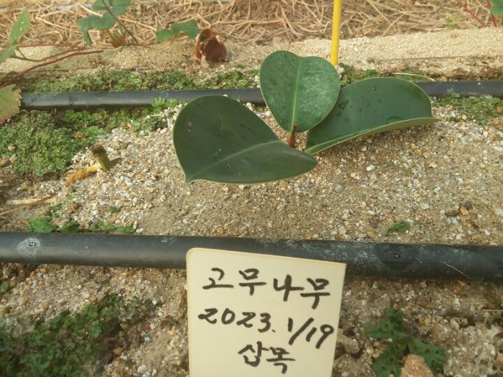 온식구 이미지