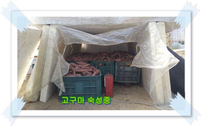 숙성창고 이미지
