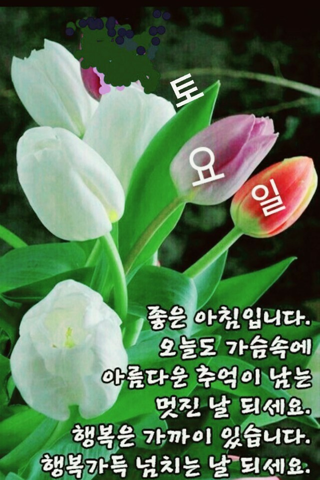 토요일 이미지
