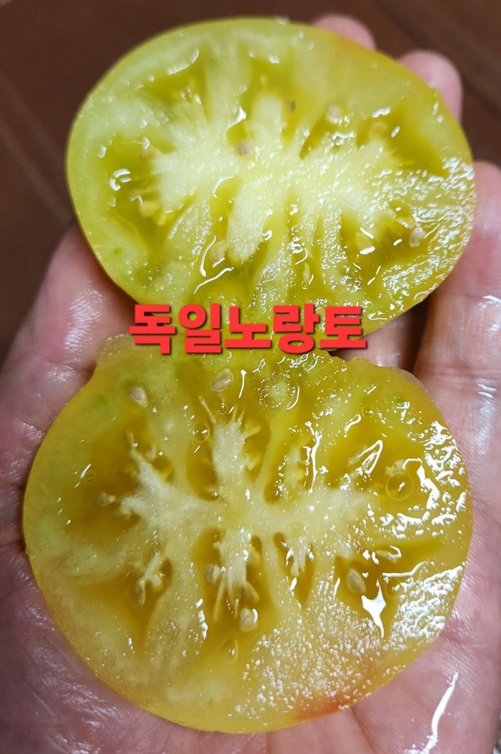 노랑 이미지