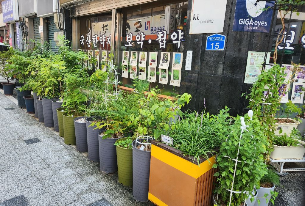 대전한방 이미지