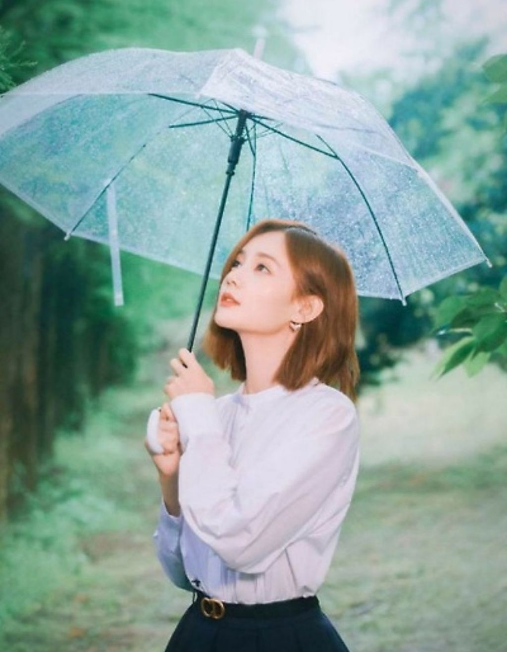 봄비 이미지