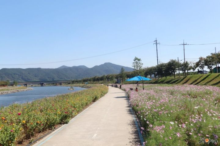 광양숯불구이 이미지