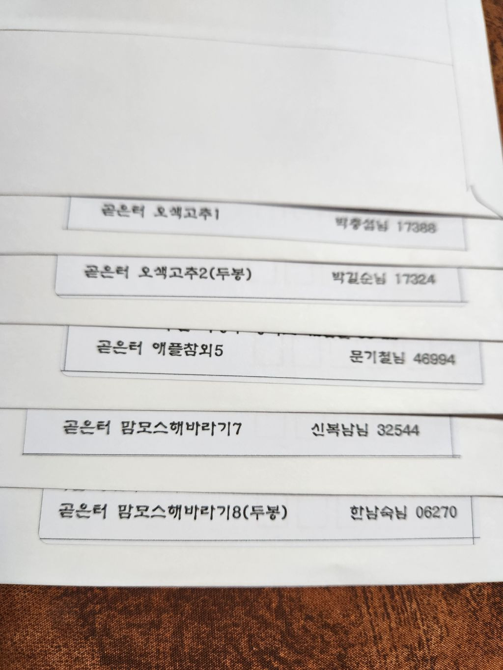 맘모스 이미지