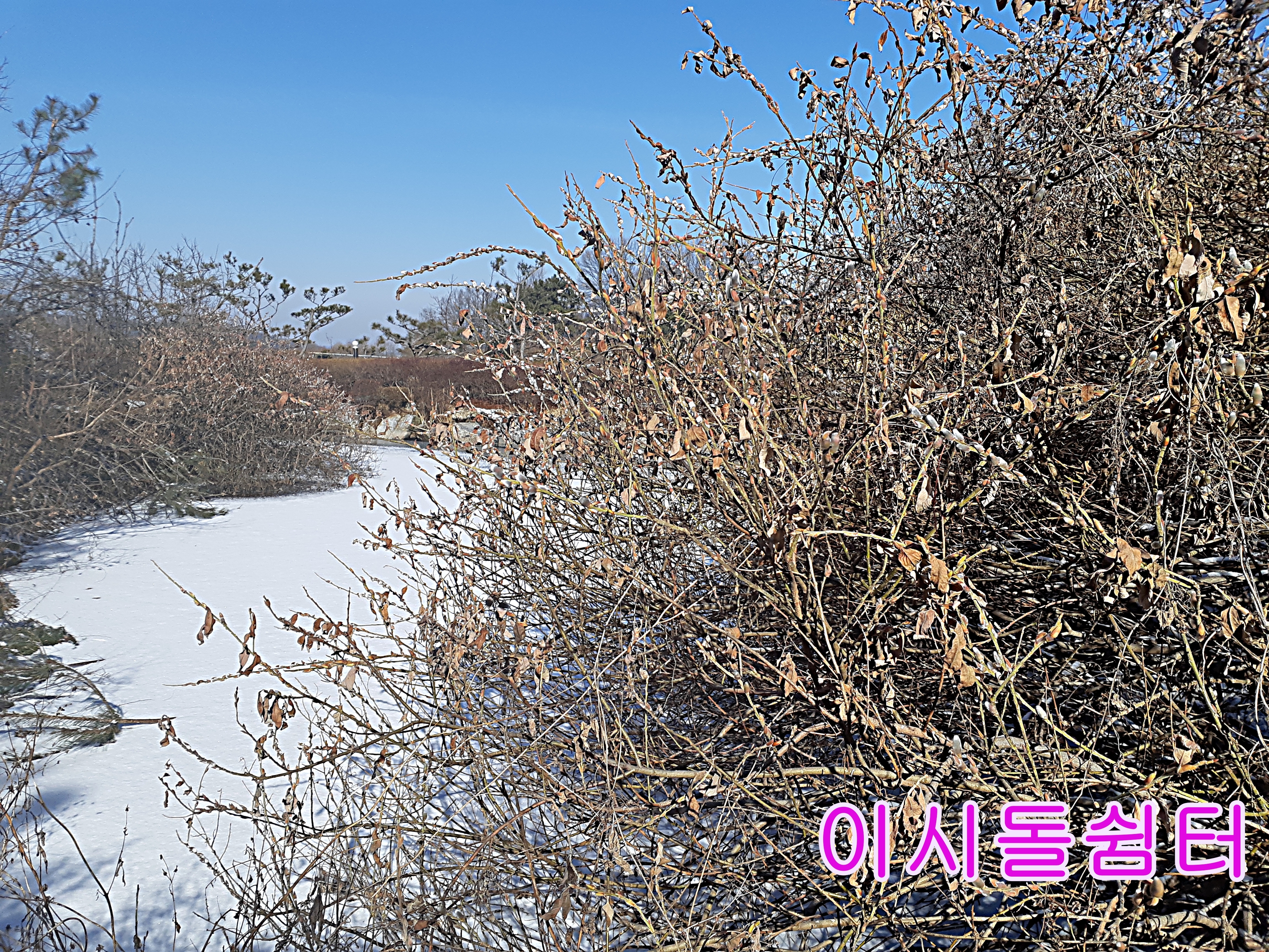 이시돌쉼터 이미지