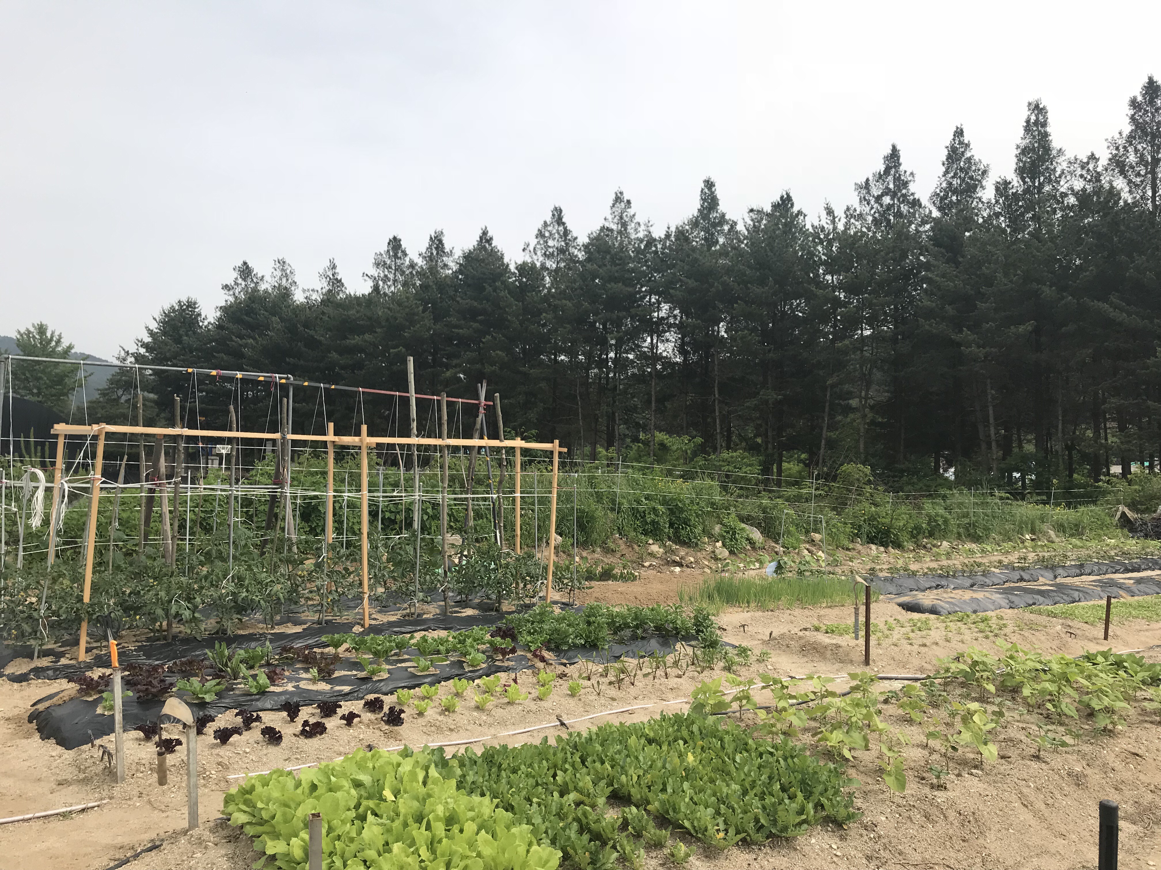 다음세대를위한협동조합 이미지