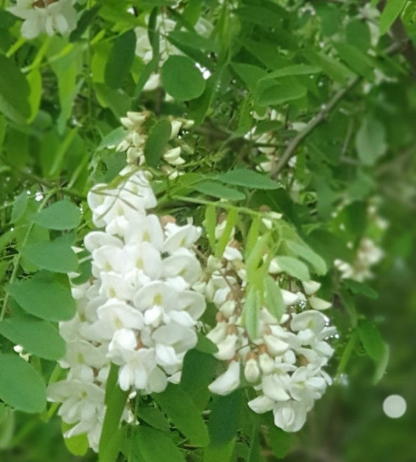 지리산농사꾼 이미지