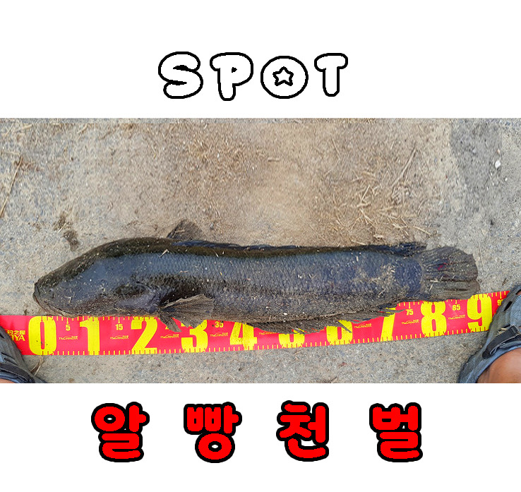 대성농장 이미지