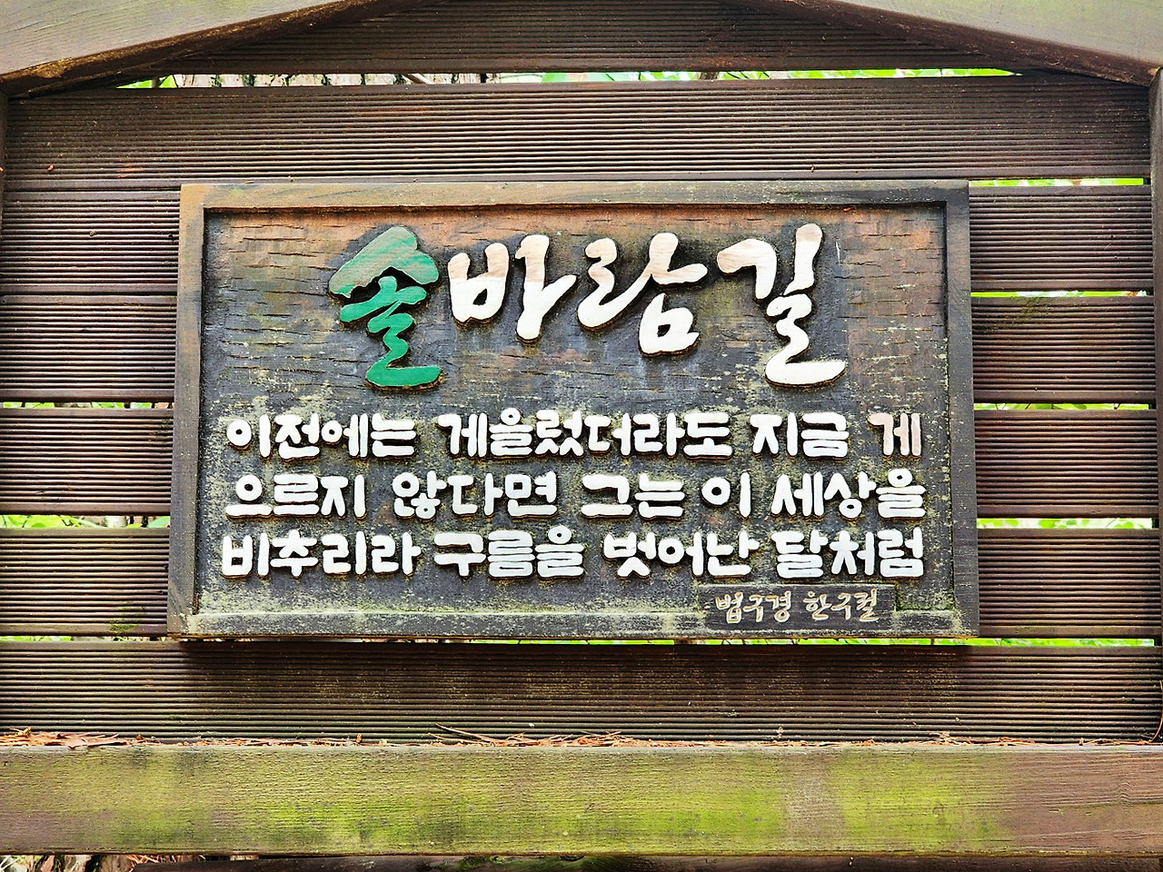 솔향 이미지