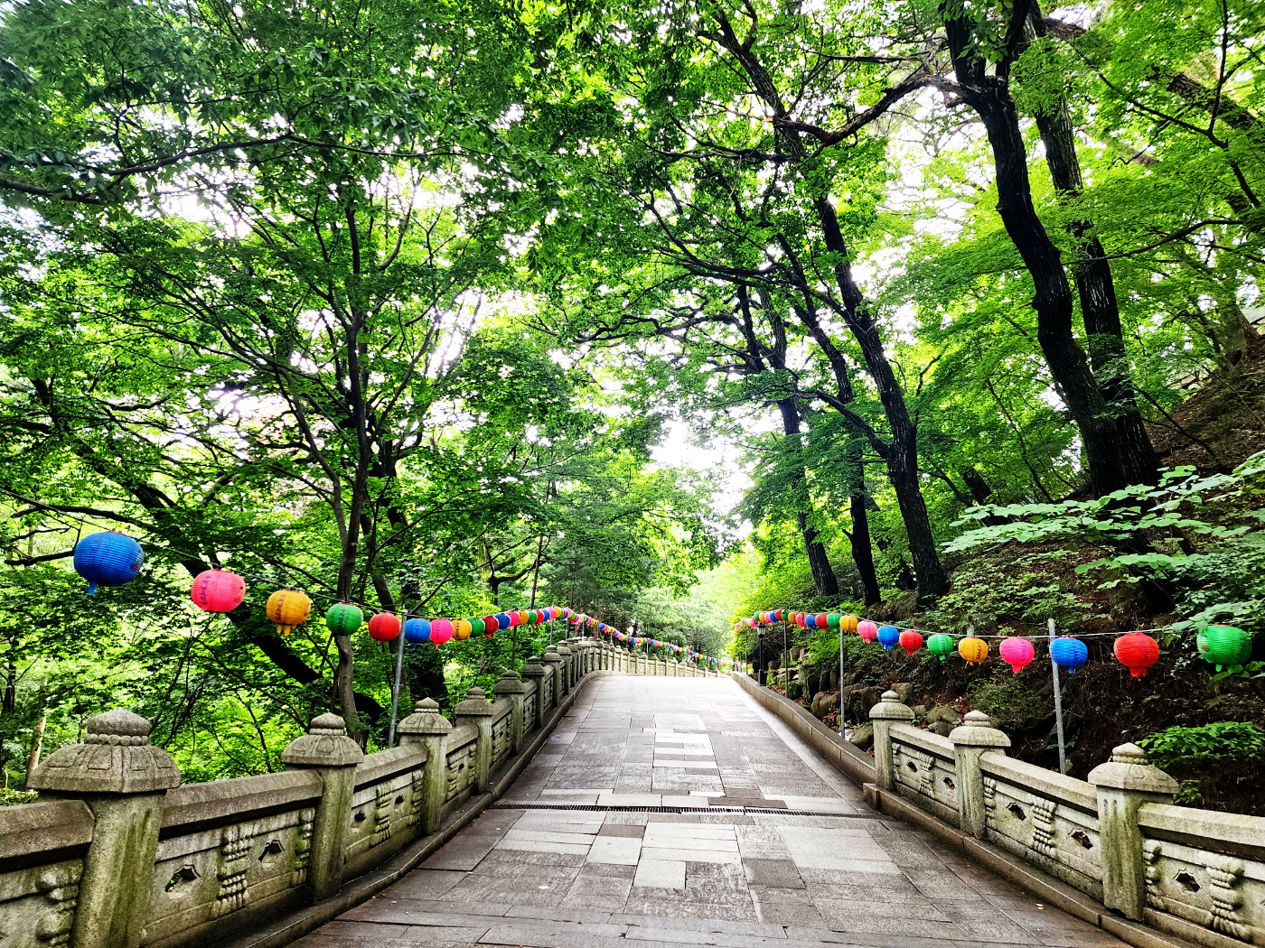 선약사 이미지