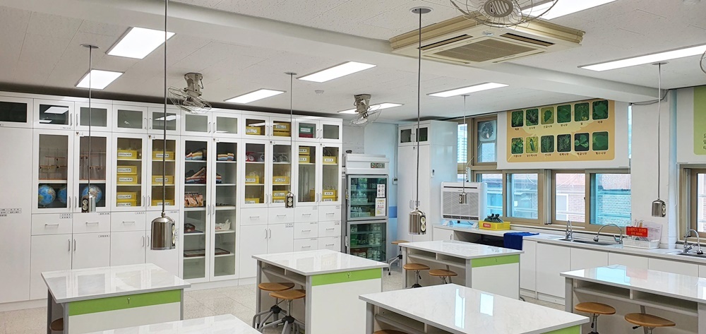 신림초등학교 이미지