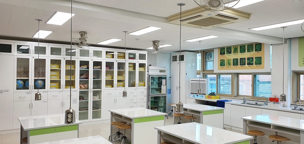 신림초등학교 이미지
