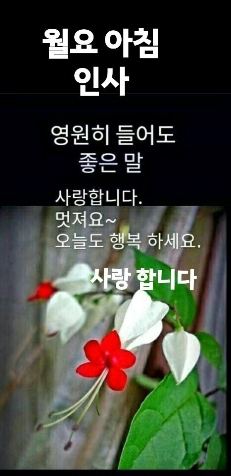 월요일아침 이미지