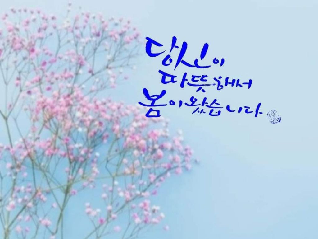 화요일 이미지