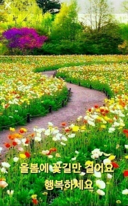 꽃길 이미지