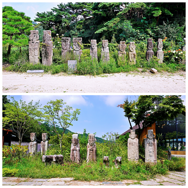 Daum 카페