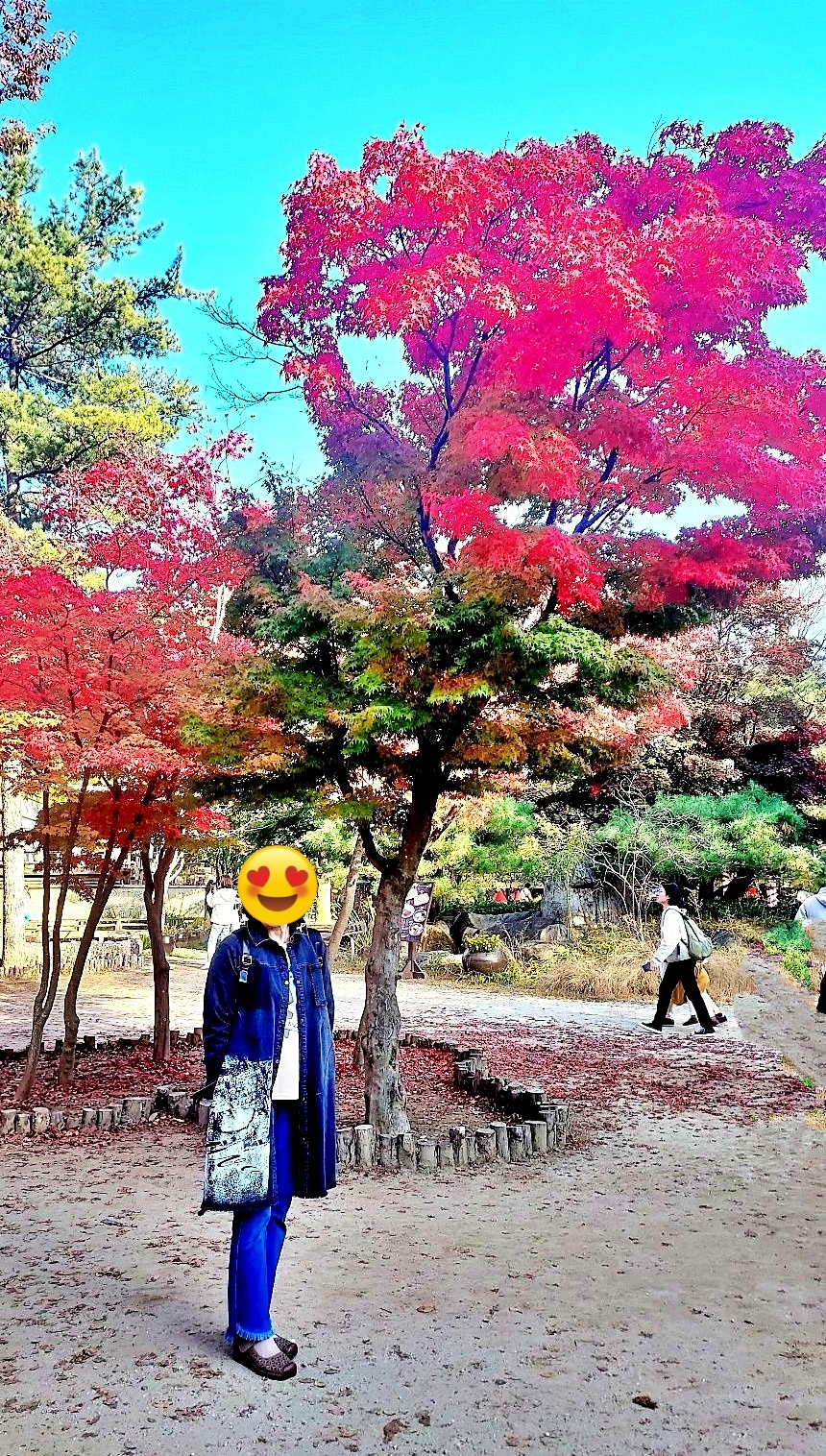 봉주르 이미지