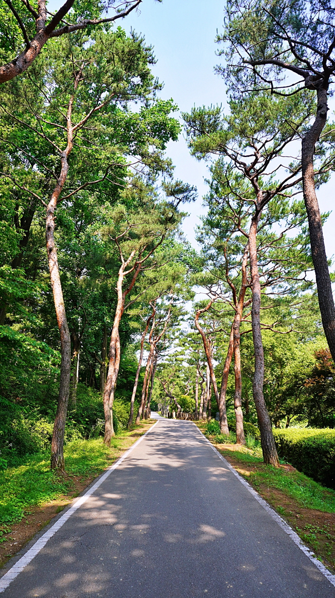 세기이발 이미지