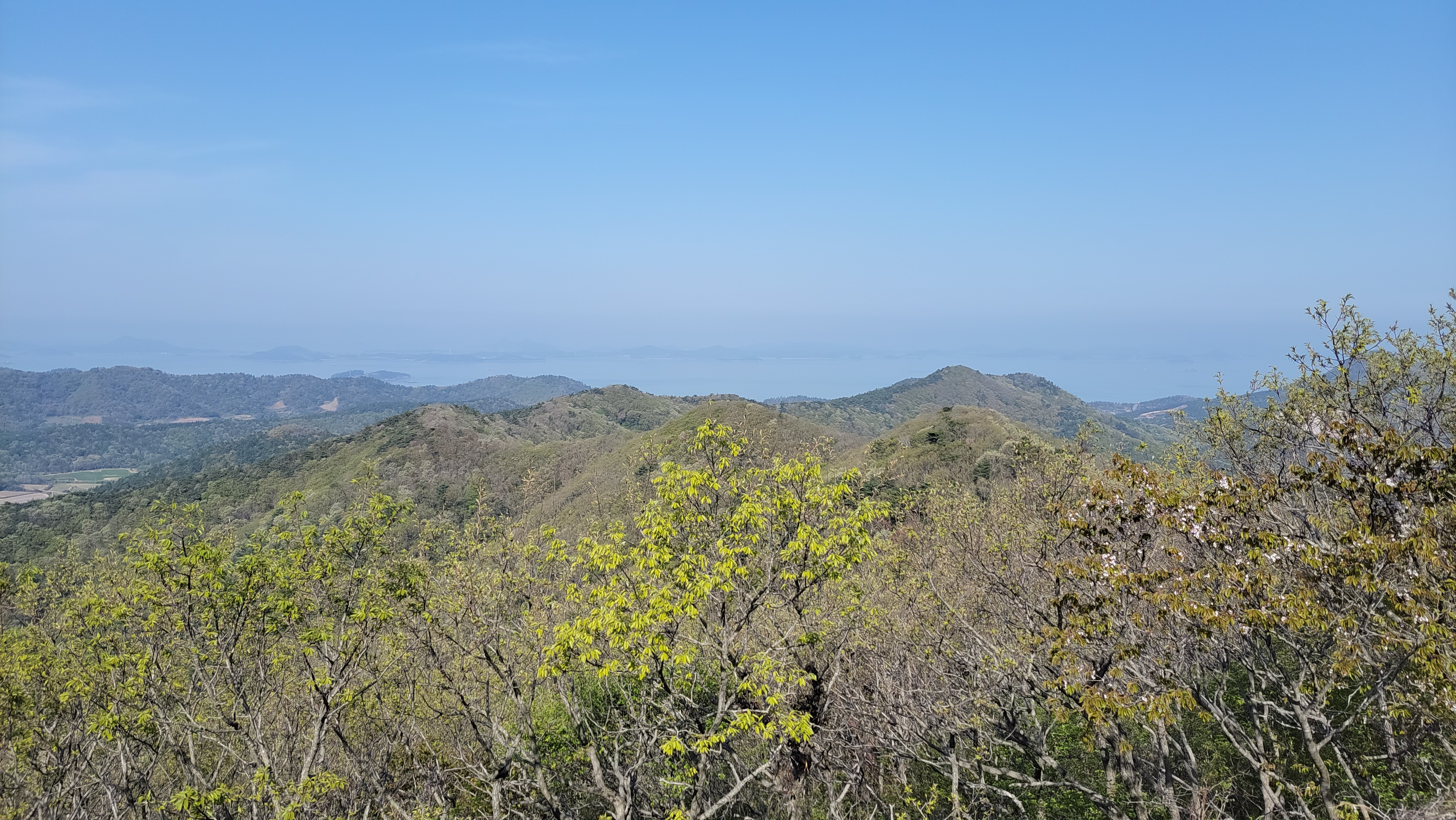 마당화원 이미지