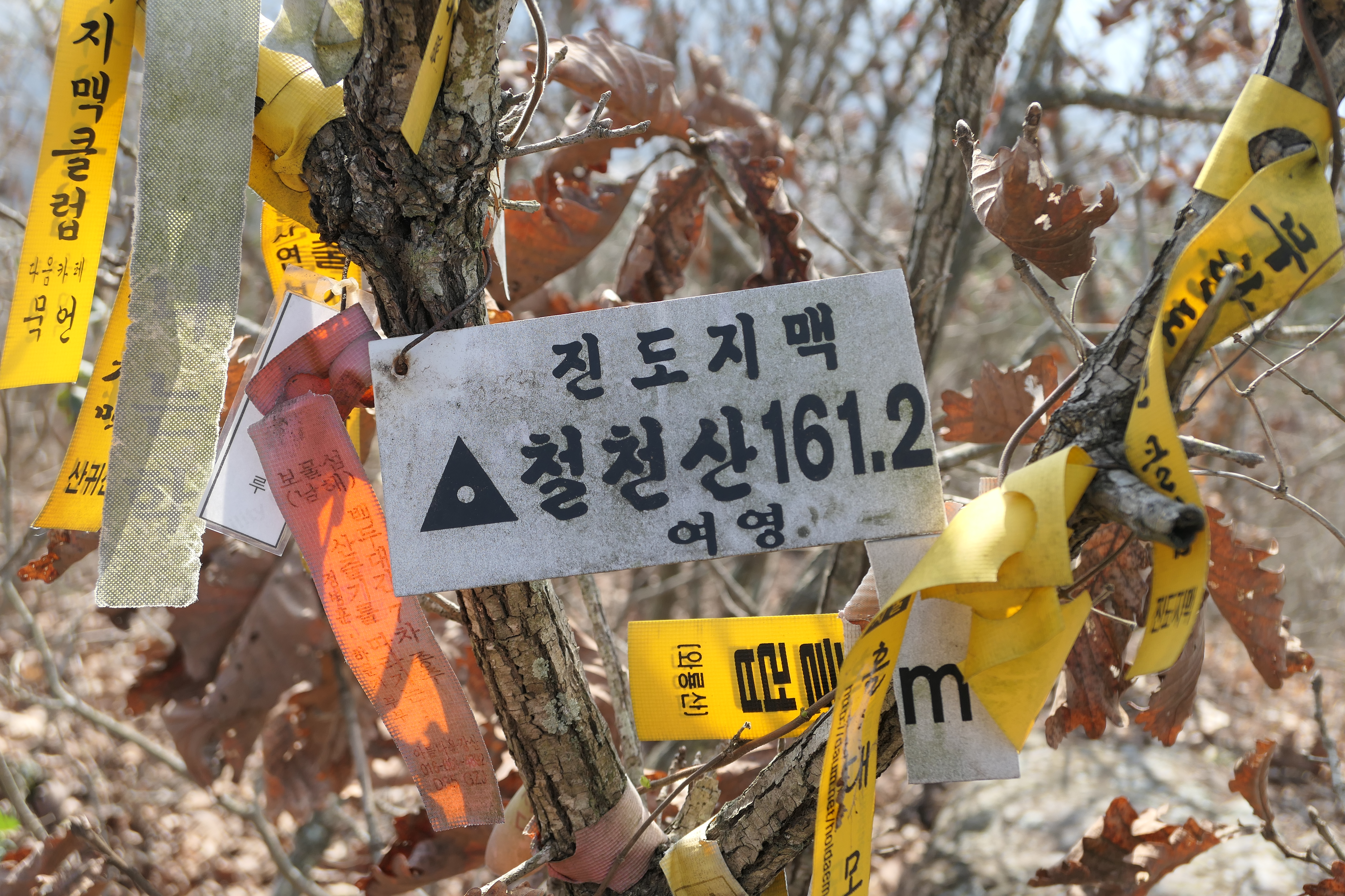진도주유소 이미지