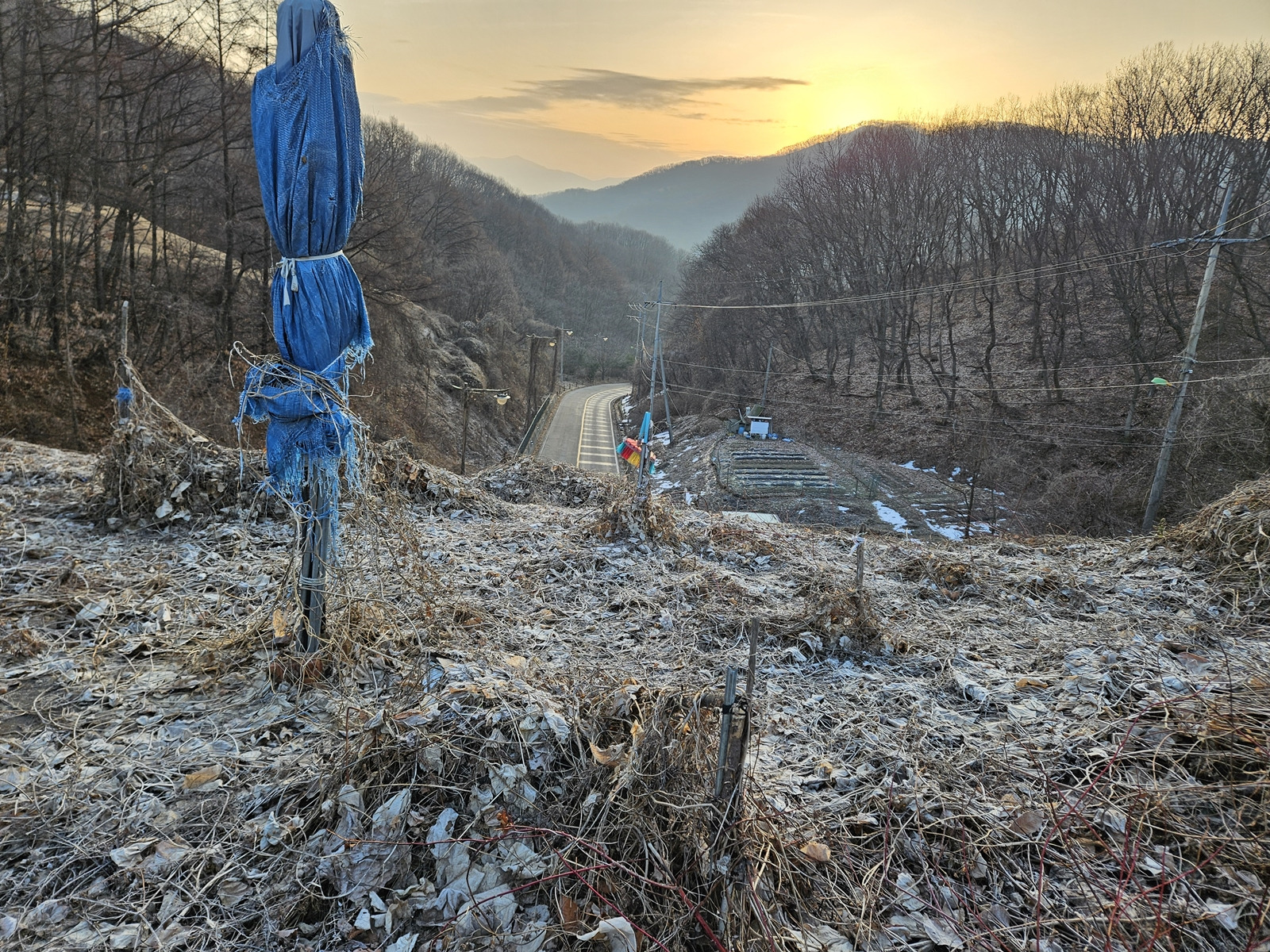 깜봉산 정상 이미지