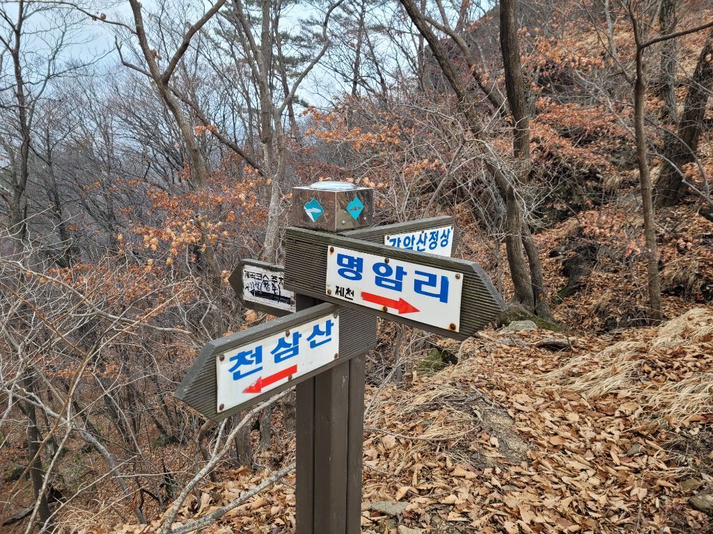 가나안농산 이미지