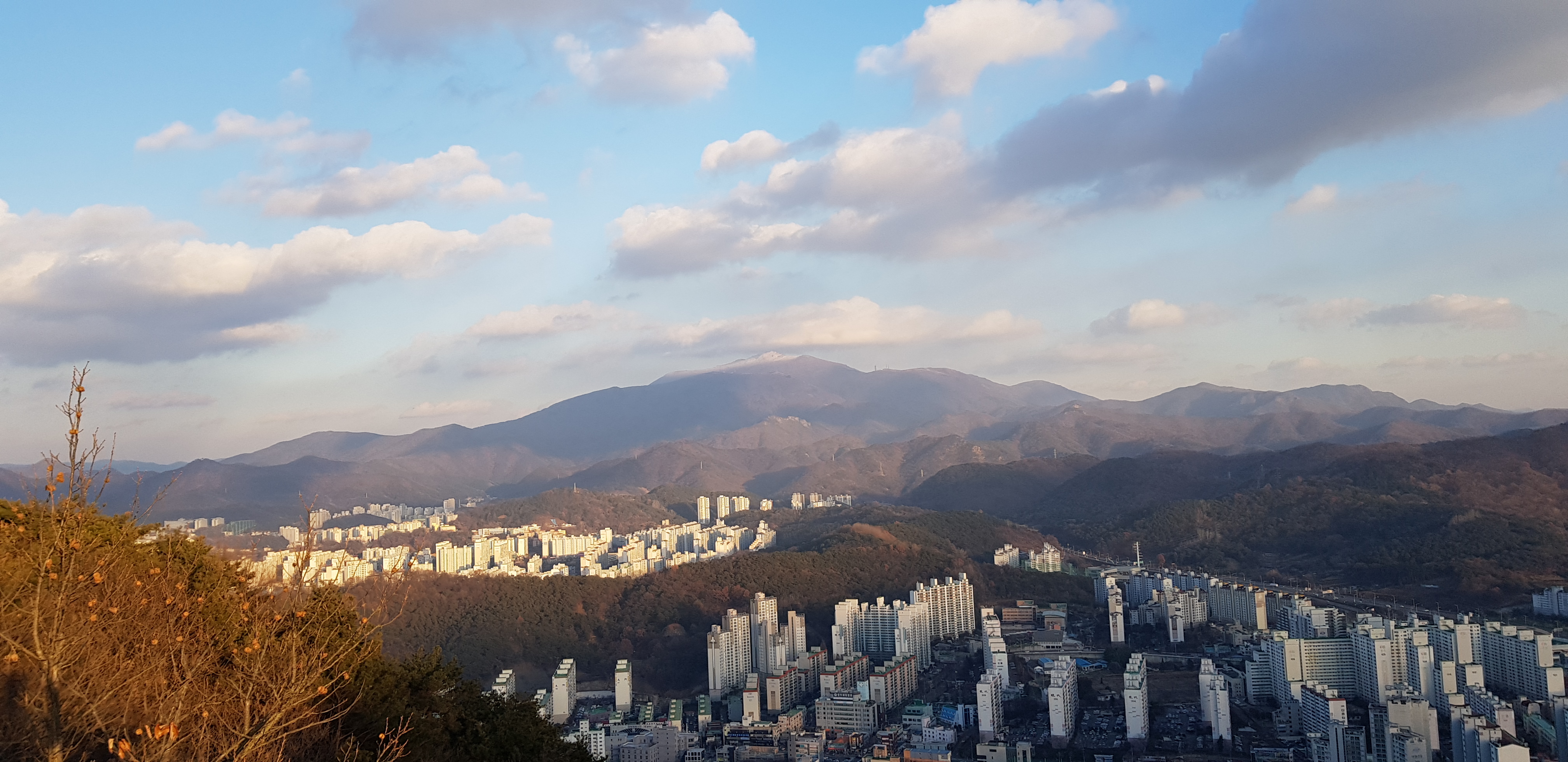 금당산 산하 이미지