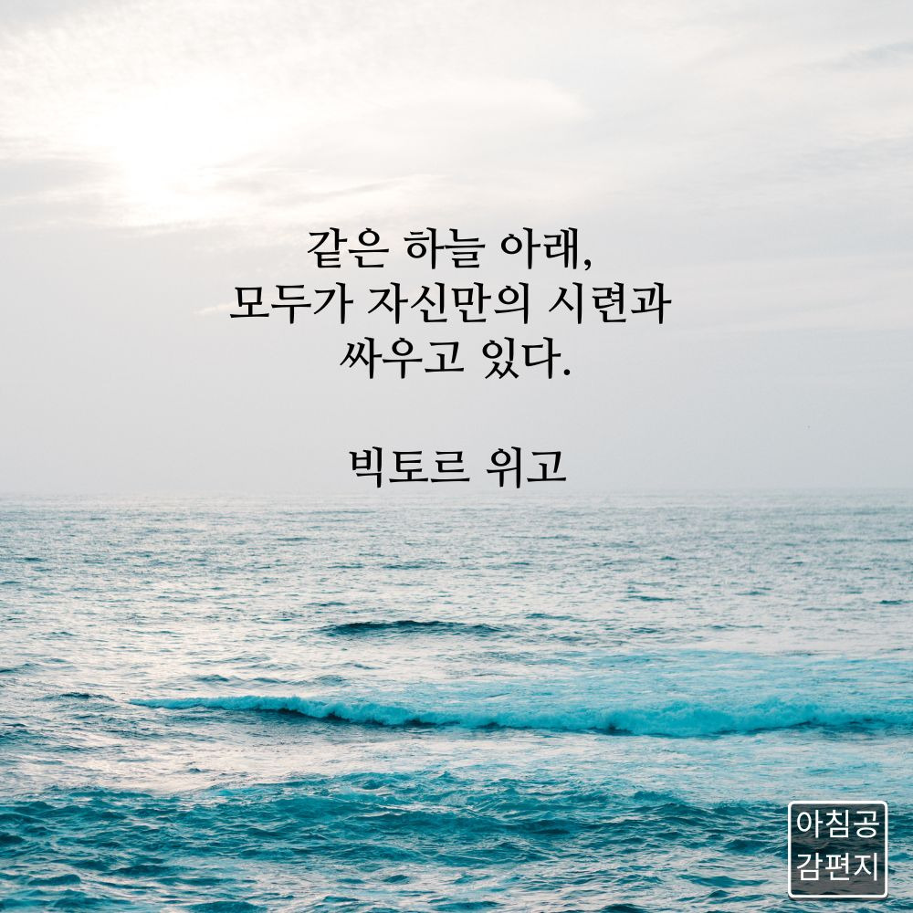 아침 이미지