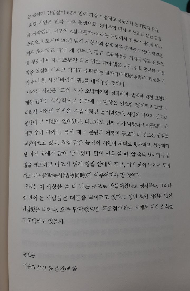 비파악기 이미지