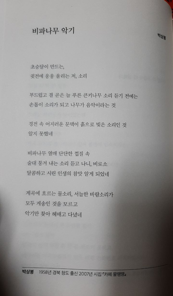 비파악기 이미지