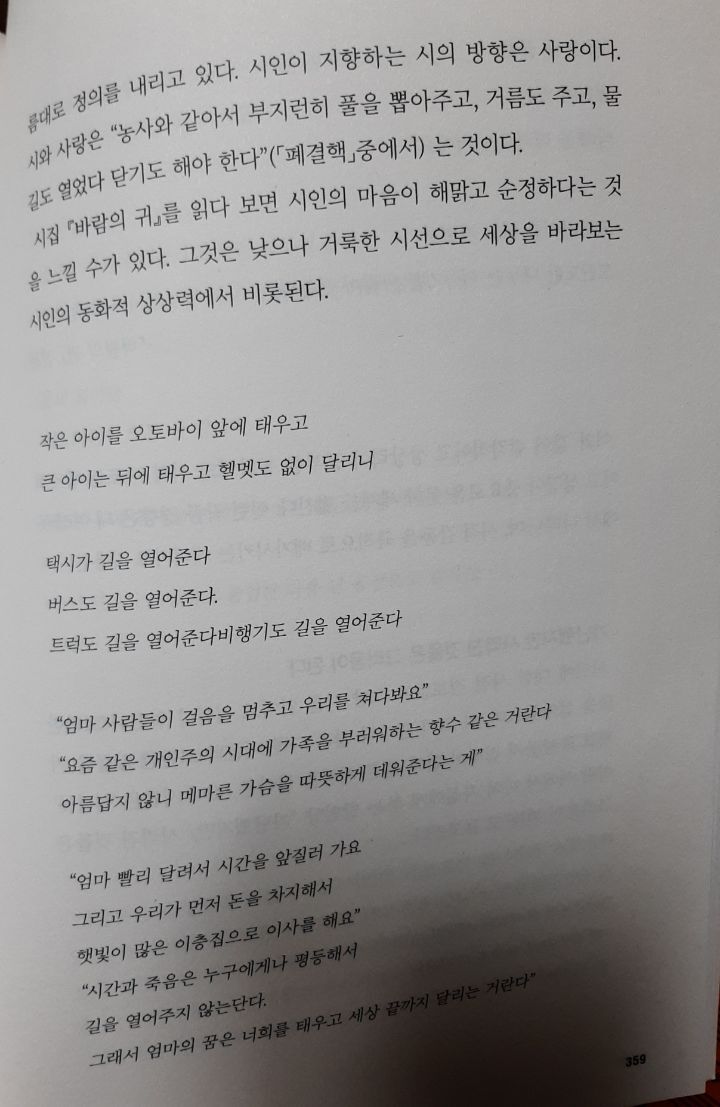 비파악기 이미지