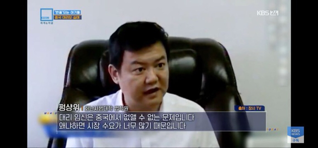 충격과 공포의 중국 대리모 시장 | 인스티즈