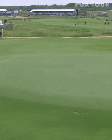 홀인원 보다 기분 좋은 샷.gif | 인스티즈