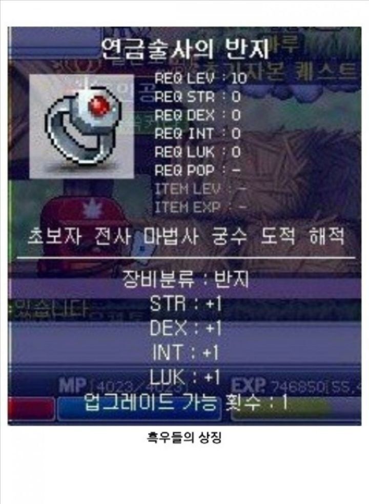 모두가 그리워하는 추억의 그 시절 옛날 메이플스토리 | 인스티즈