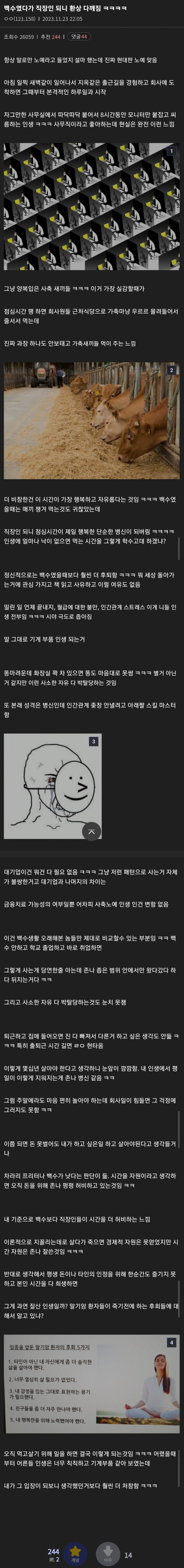백수였다가 직장인 되니 환상 다 깨짐 | 인스티즈