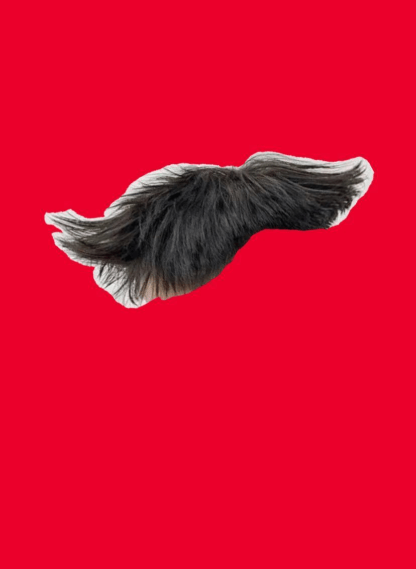 4만원짜리 커트한 디시인 찾아보니 바이럴이였네 | 인스티즈