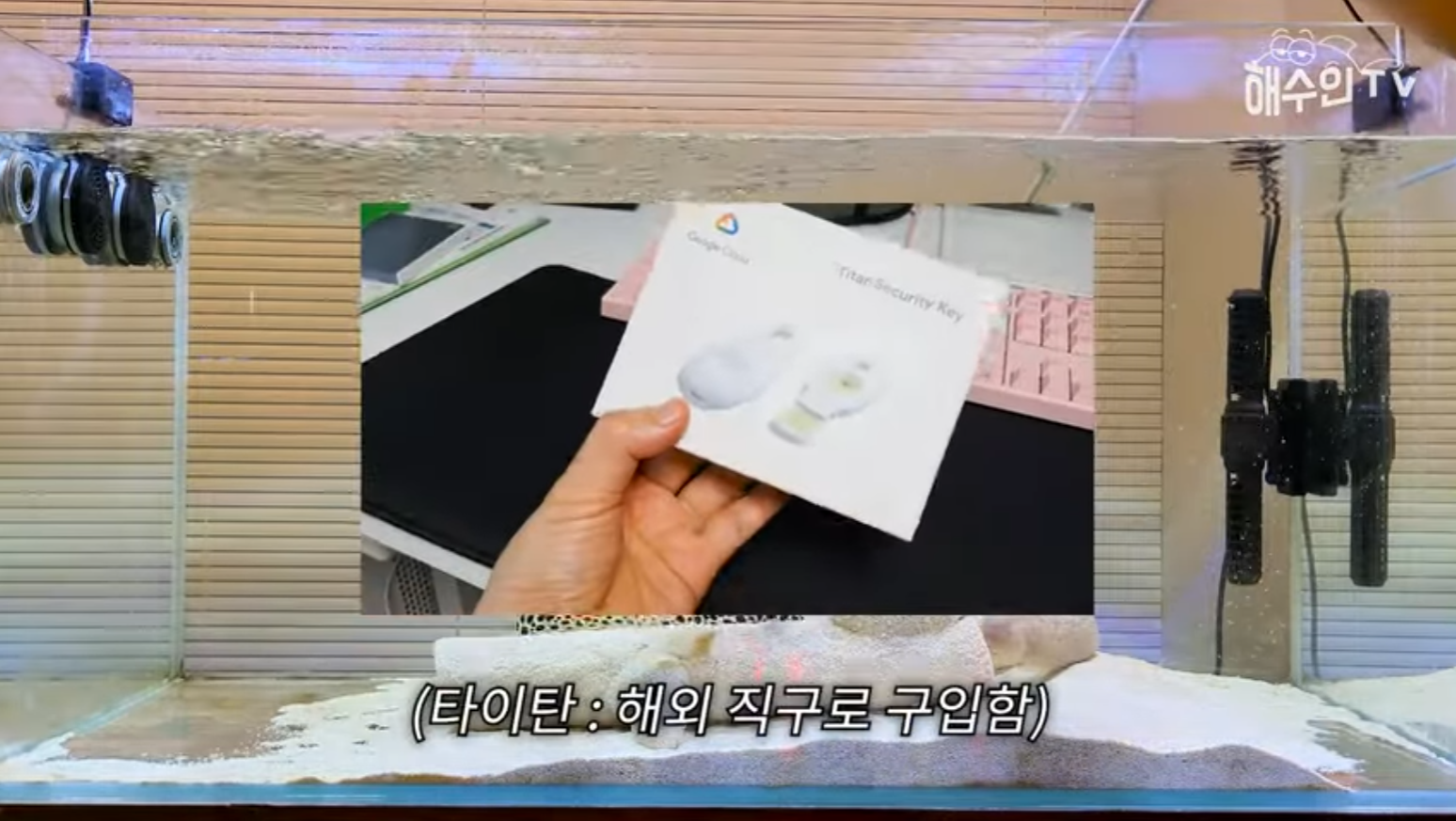 유튜브 계정이 3번이나 해킹 당한 이유 | 인스티즈