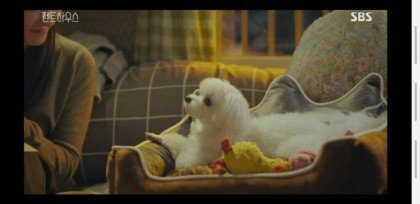 펜트하우스 설탕이.jpgif | 인스티즈